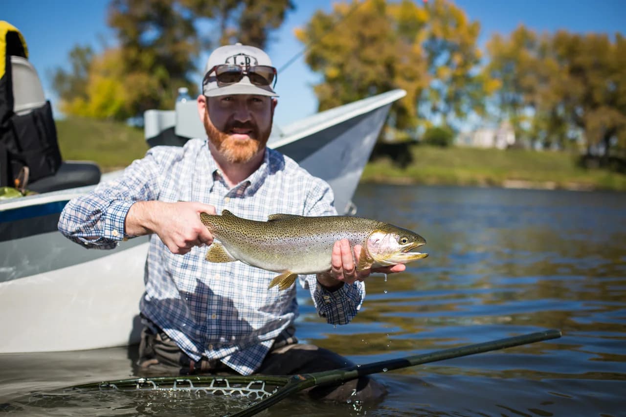 Bow River fly fishing gallery photo 12