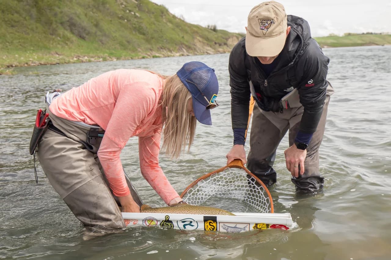 Bow River fly fishing gallery photo 18