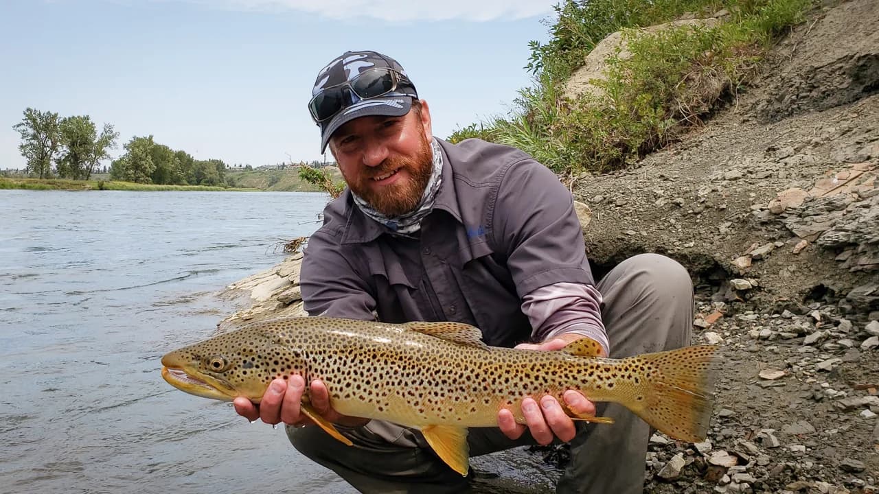 Bow River fly fishing gallery photo 20