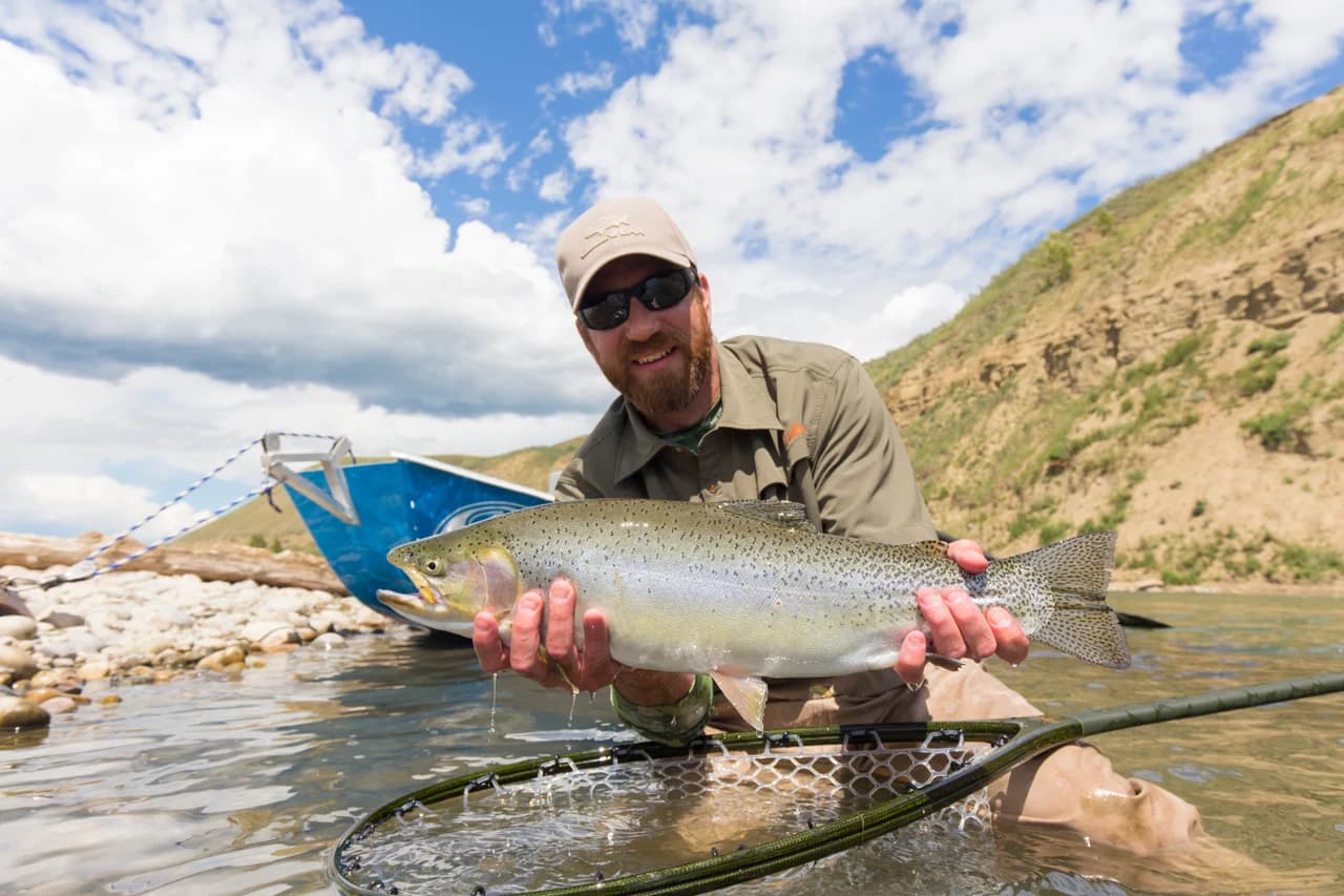 Bow River fly fishing gallery photo 3